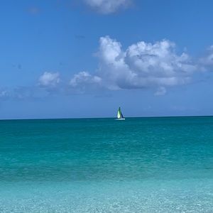 Meet your Posher, Wanda